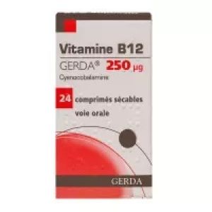 Vitamin B12 Gerda 250mcg Tablets E/24