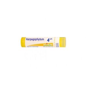 Harpagophytum 4CH Tube - 4g