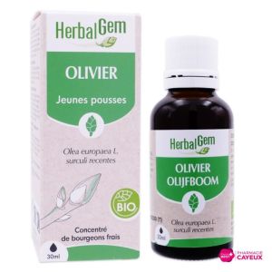 Herbalgem Macerat M Conc Olivier 30Ml