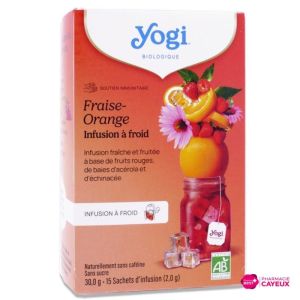 Yogi Tea Infusions Froid Frais Oran 30,6G