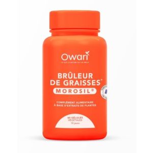 Owari Bruleurs De Graisses Gelu60