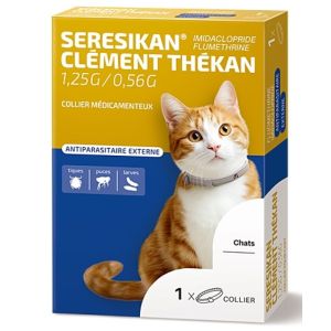 Seresikan Coll Chat 1