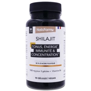 Natampform Shilagit 90 Gelules