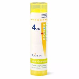 Lachnanthes Tin. 4Ch Tg Boi