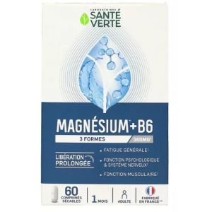 Sante V Magnesium 3 Formes 360Mg Cpr60