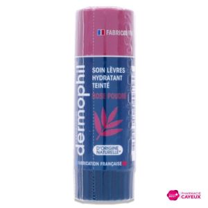 Dermophil Stick Lev Teinte Pdre Rose 4G