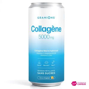 Granions Canette Collagene 330 Ml