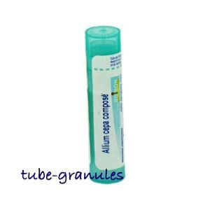 Allium Cepa Comp Tu.gran Boi