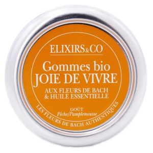 Elixirsampco Gomme Joie De Vivre Bio Bt 45G