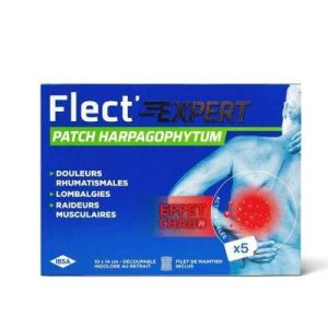 Flectaposexpert Patch Chaud X5