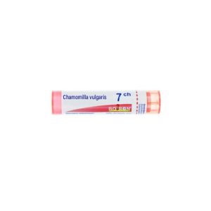 Chamomilla vulgaris Tube 7CH - 4g