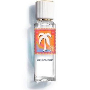 Rg Eau Parf Bienfais Gingembre 30Ml