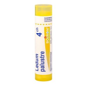 Ledum Palustre tube granules 4CH