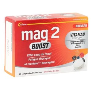 Mag2 Boost Cpr Eff 20 Brd