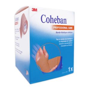 Coheban Bde Cohes 3mx7cm Chair