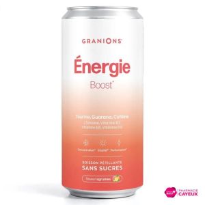 Granions Canette Energie 330 Ml