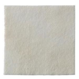 Biatain Alginate Ag Cpres10X10 10