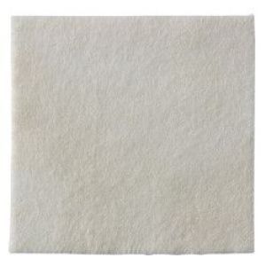 Biatain Alginate 10*10cm Bt10