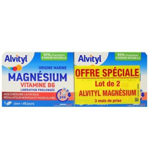 Alvityl Magnesium Vitb6/2