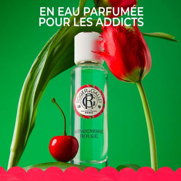 Rg Lait Corp Bienfais Gingemb Rge 250Ml