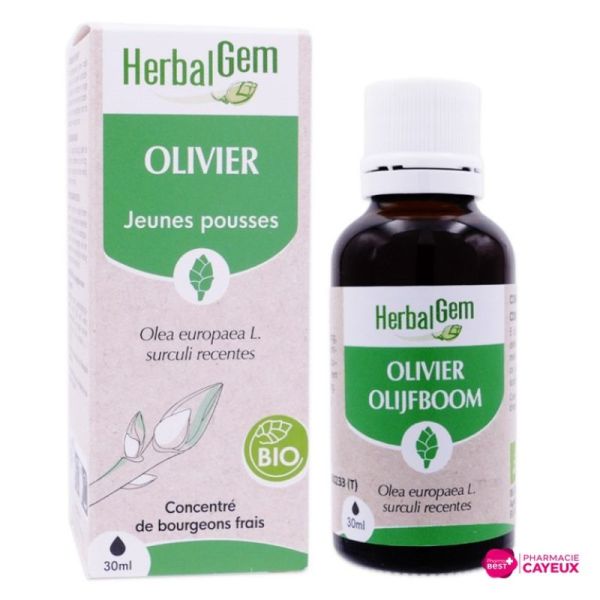 Herbalgem Macerat M Conc Olivier 30Ml