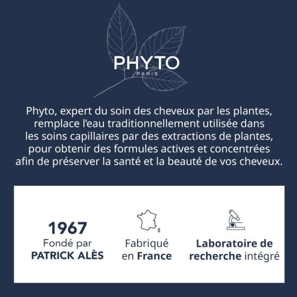 Phyto Permanent Color 9.3