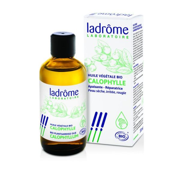 Calophyllum vegetable oil - 100 ml