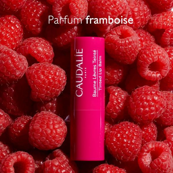 Caudalie Baume Levres Teinte 4,5G
