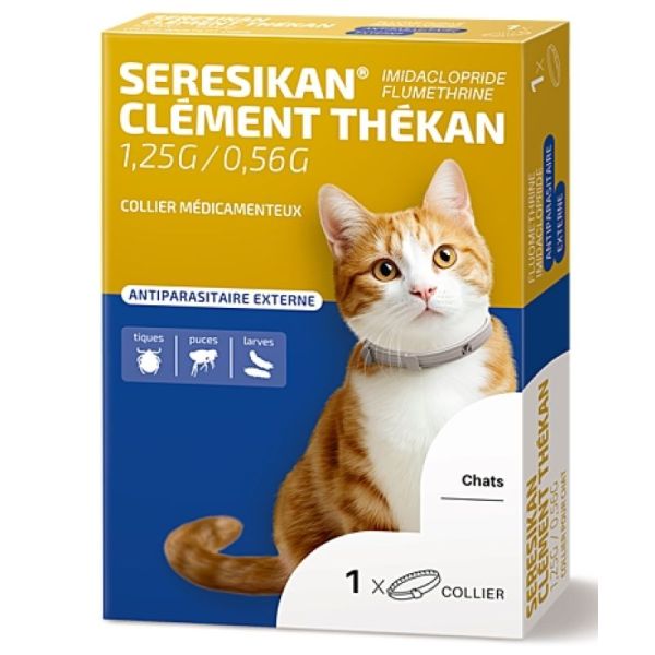 Seresikan Coll Chat 1
