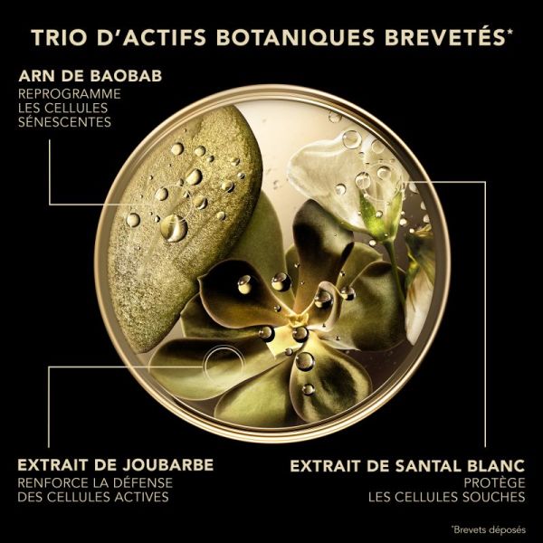 Lierac Masque Absolu Pot 50Ml