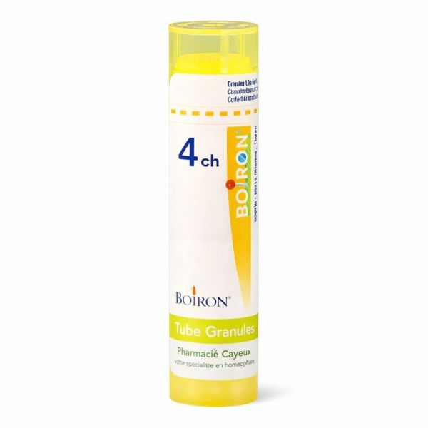 Lutein (corp J.) 4ch Gr.tb Boi