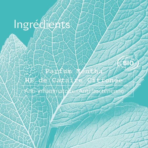 Sanof Deo Mentha Lot2 New