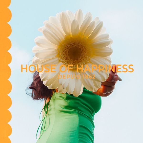 Rg Gel Dch Bois Daposorange Tube 200ml