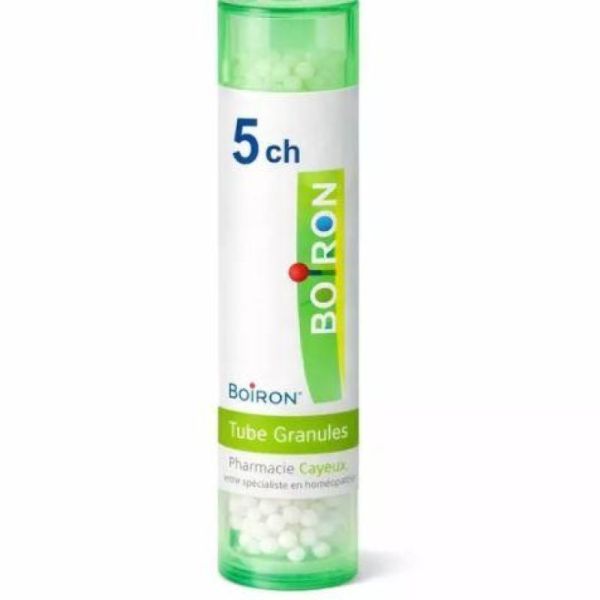 Plantago Major 5Ch Tg Boi