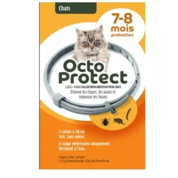 Octoprotect 1,25G0,56G Chat Coll Med