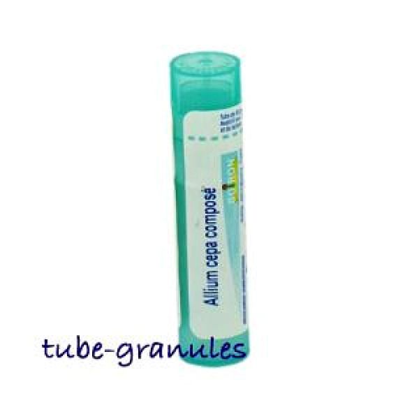 Allium Cepa Comp Tu.gran Boi