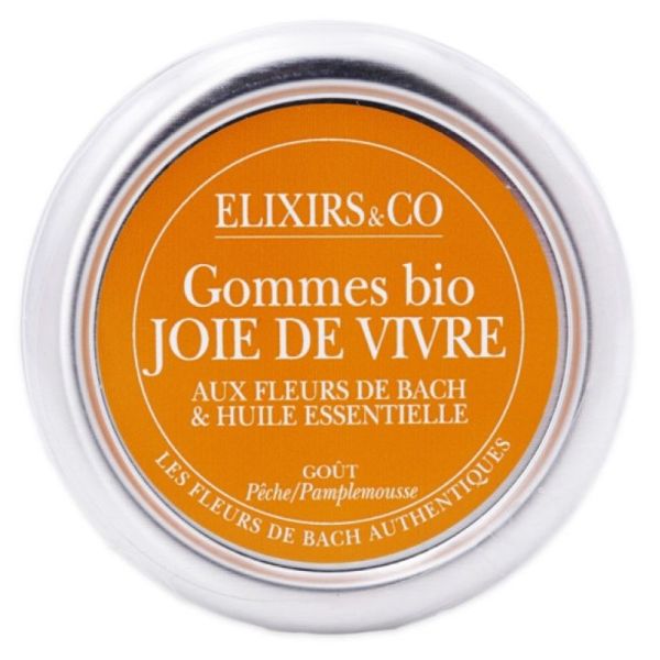 Elixirsampco Gomme Joie De Vivre Bio Bt 45G