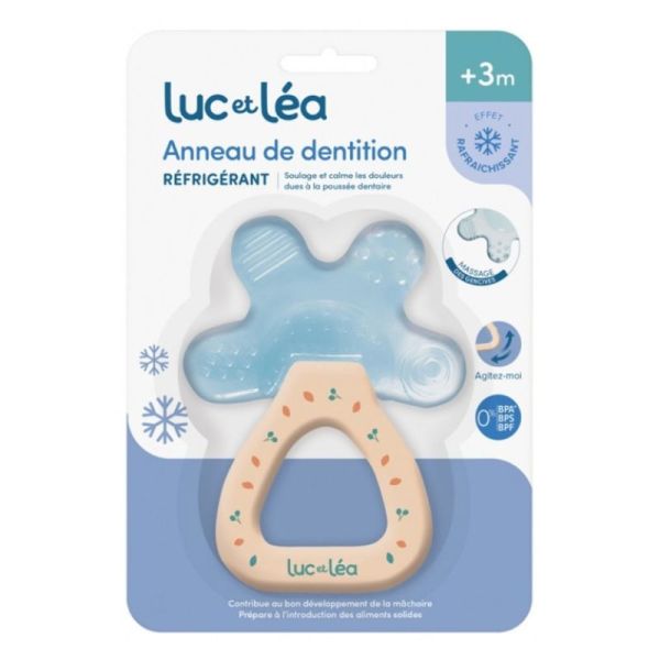 Anneau Dent Luc-Lea Refrig Tortue