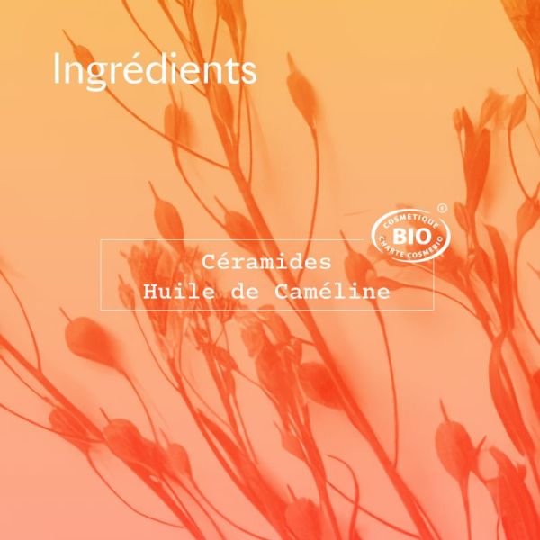 Sanof Cerabotanica Bme Mains 50Ml