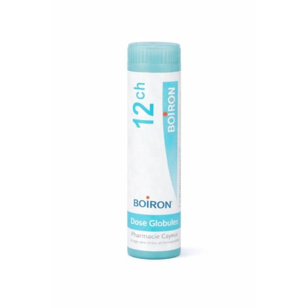 Rhus Toxicodendron dose 12ch