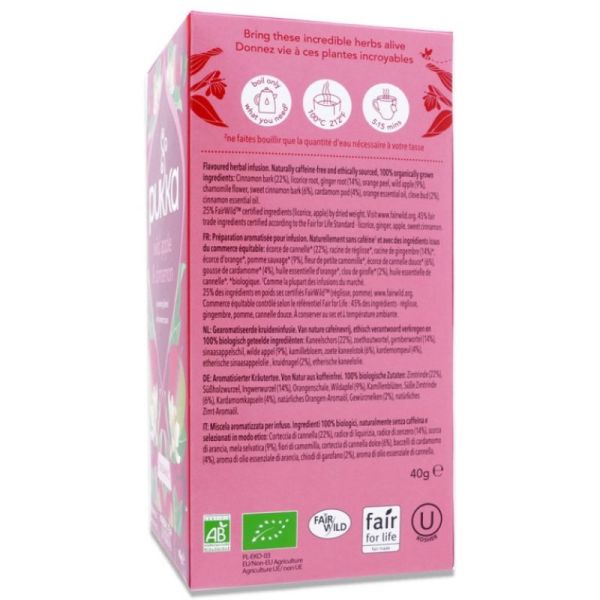 Pukka Apple Cinnamon Ginger