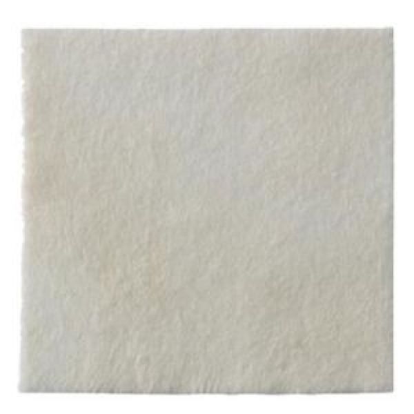 Biatain Alginate Ag Cpres10X10 10
