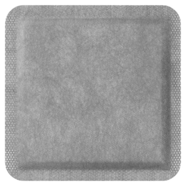 Biatain Superabsorber Pans 20X30Cm Bt10