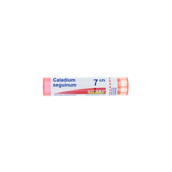 Caladium Seguinum Tube Granules 7ch